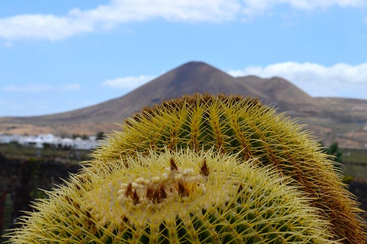 Customized Private Tours of Lanzarote island  - Image 3