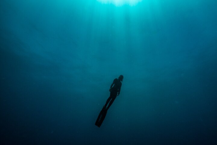 Freediving at Museum Atlantico  - Image 5