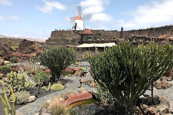 Grand Tour Lanzarote Experience: the footprint of the landscape - Image 2