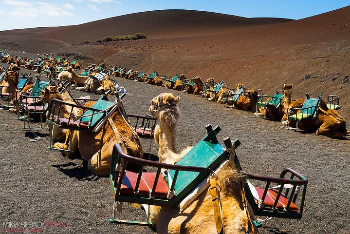 Lanzarote Grand Tour with Timanfaya and Jameos del Agua - Image 5