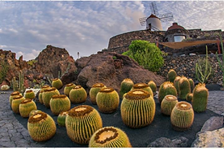 Lanzarote Highlights. Private Tour with Pickup (price per vehicle, not p.p.) - Image 2