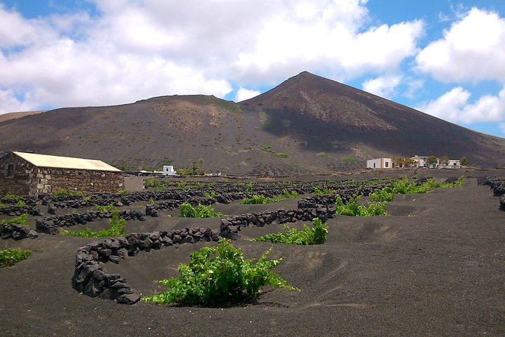 Lanzarote La Geria Vineyards Small Group Walking Tour - Image 2
