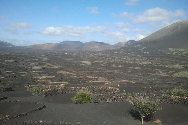 Lanzarote La Geria Vineyards Small Group Walking Tour - Image 3