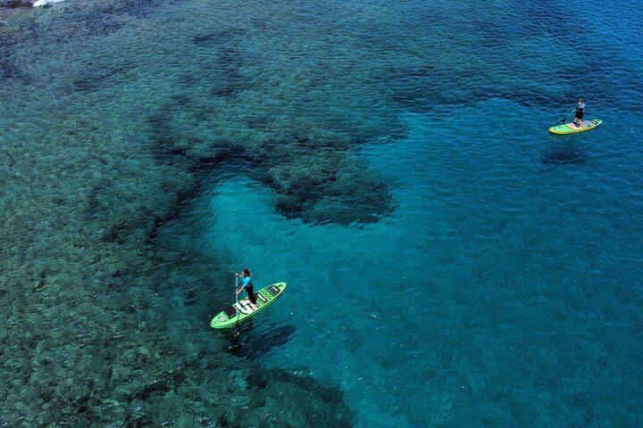 SUP Standup Paddling and Snorkeling Shared Experience - Image 1