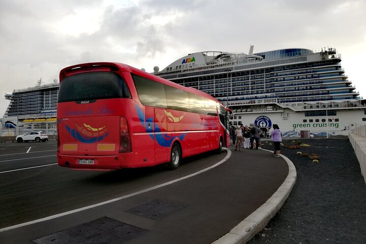 Tour of Jameos del Agua Viewpoint and Valley of 1000 Palm Trees for cruise passengers - Image 1