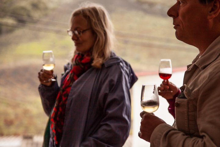 Las Palmas Shore Excursion: Private Volcanic Caldera, Teror Village and Wine-Tasting Tour - Image 2