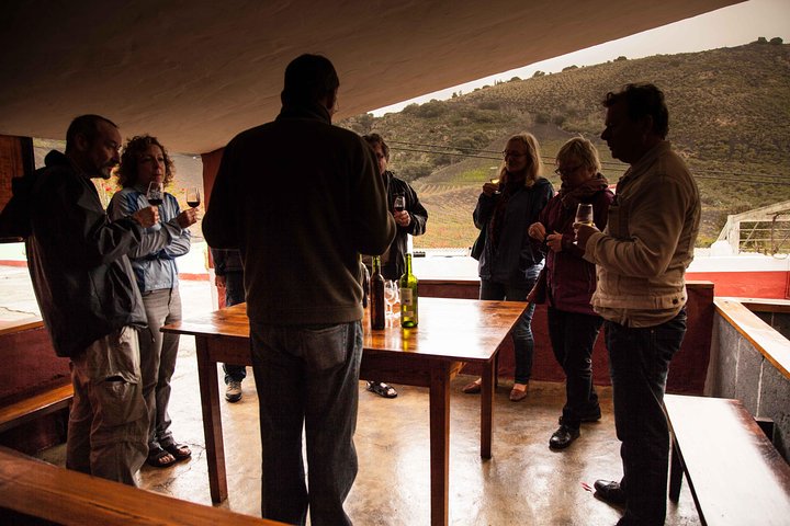 Las Palmas Shore Excursion: Private Volcanic Caldera, Teror Village and Wine-Tasting Tour - Image 1
