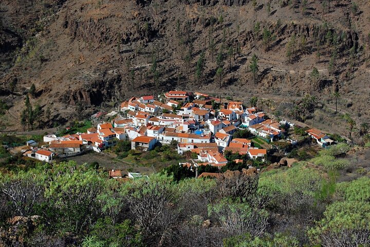Private shore excursion in Gran Canaria the miniature continent - Image 2