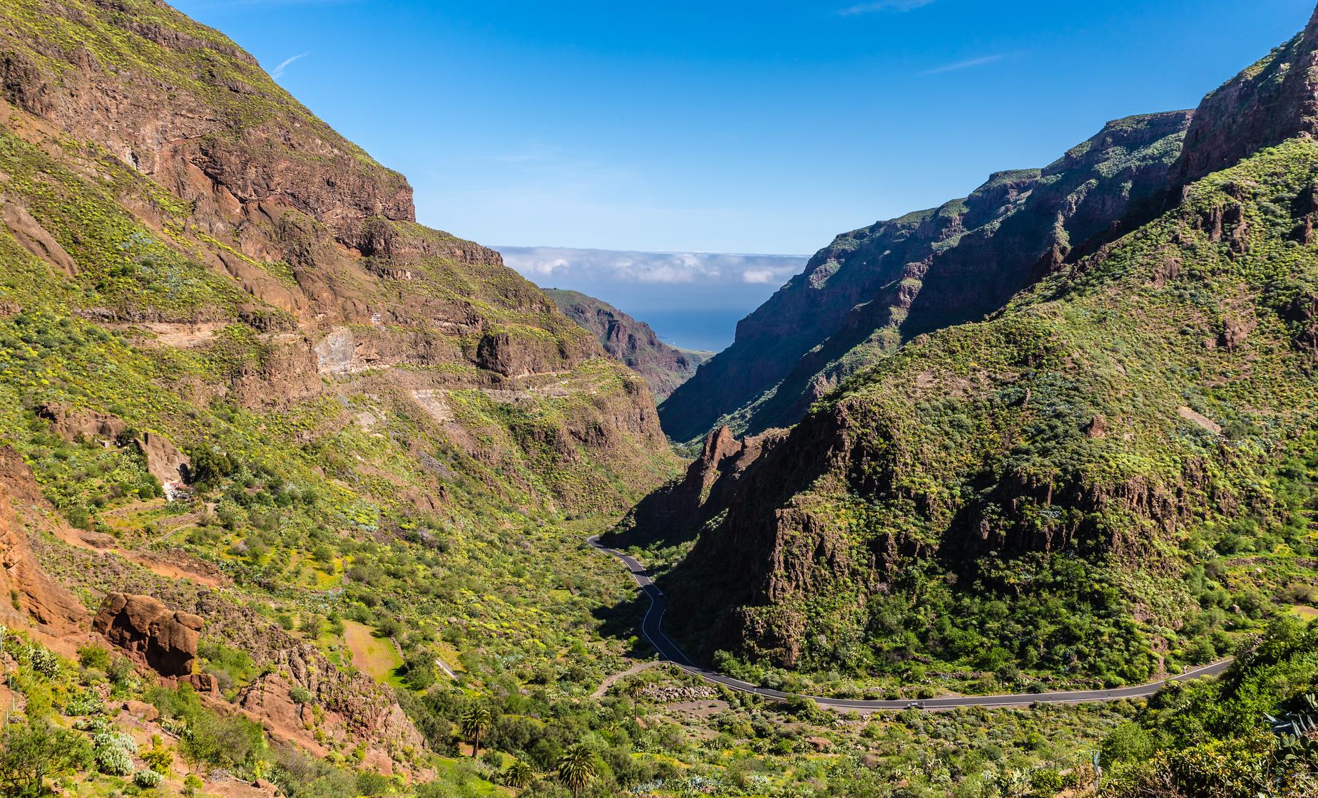 Treasures of Gran Canaria - Image 1