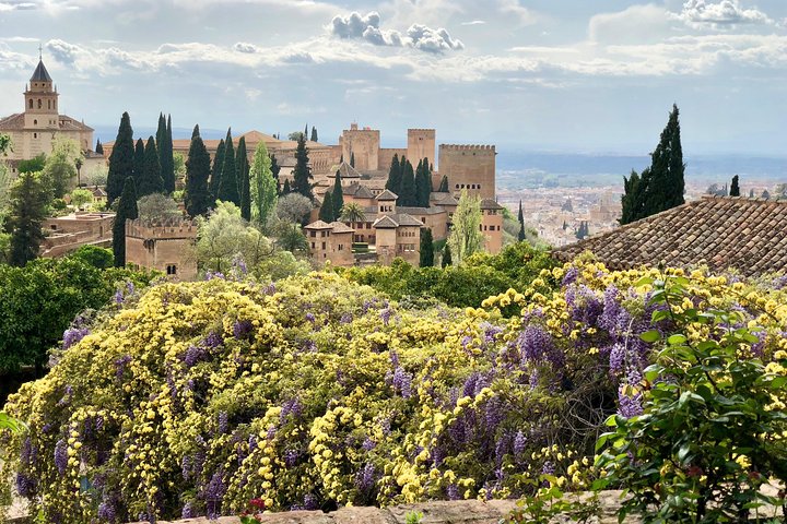 Alhambra Private Tour from Almeria: with transport and skip-the-line-tickets - Image 4