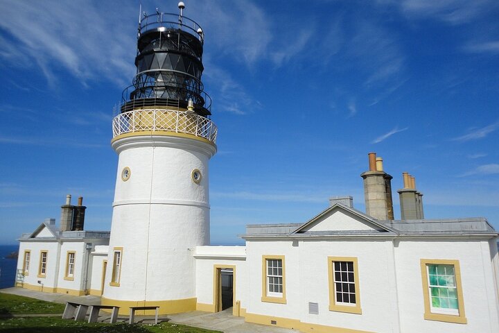 Half Day Private Tour with Puffins, Ponies and Past Shetland - Image 1