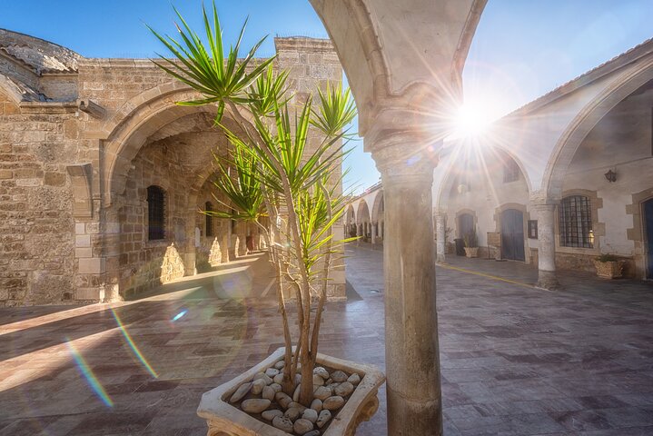 Full Day Private Shore Tour in Larnaca from Limassol Cruise Port - Image 5