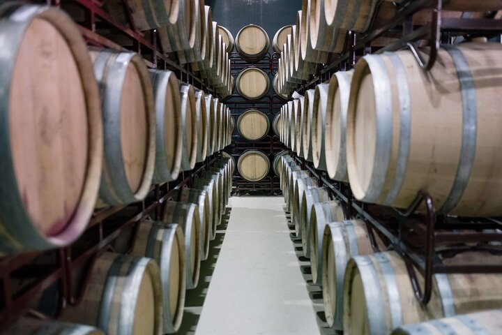 Alentejo Olive Oil Tour - Image 5