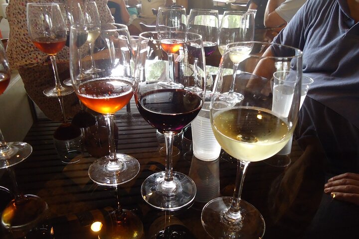 Arrabida and Bacalhoa Wine Tasting Private Tour from Lisbon - Image 2