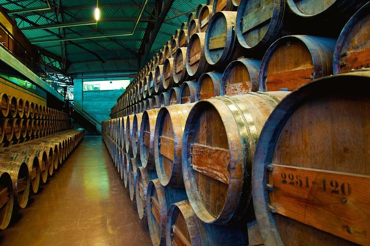 Arrabida and Bacalhoa Wine Tasting Private Tour from Lisbon - Image 3