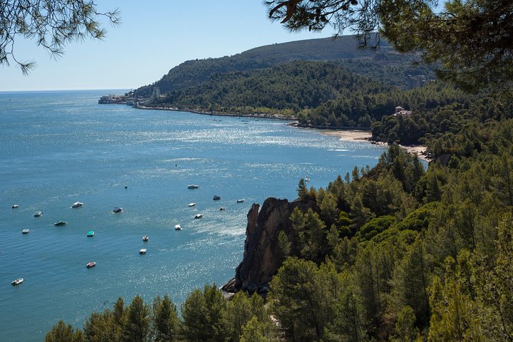 Arrabida Full Day Private Tour with Wine Tasting - Image 3