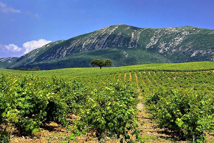 Arrabida Natural Park Full-Day Private Tour from Lisbon - Image 1