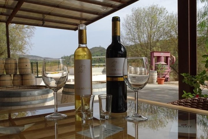 Arrábida Palmela Azeitão (Wine and Tapas) Private Tour - Image 1