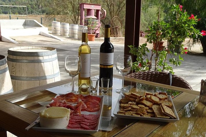 Arrábida Palmela Azeitão (Wine and Tapas) Private Tour - Image 5