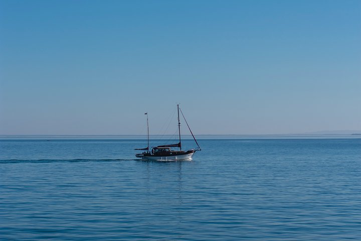 Arrabida / Setubal / Azeitão / Freeport - Premium Tour (8h) - Image 5