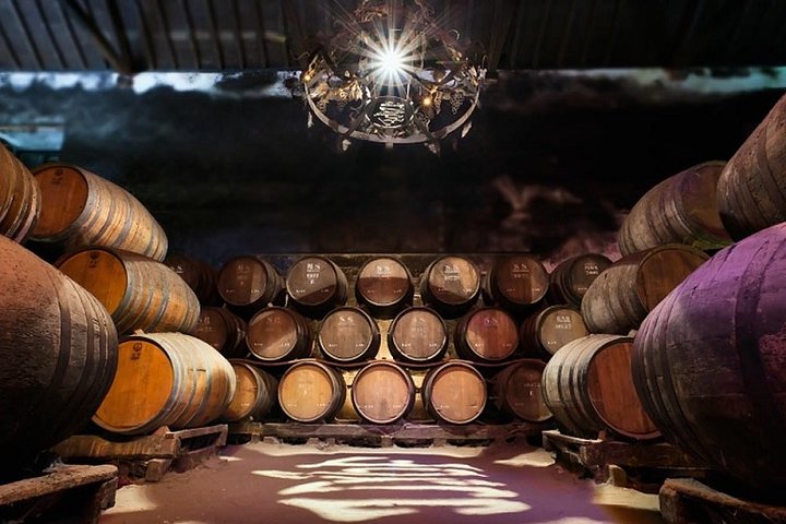 Arrábida With Wine Tasting - Image 5