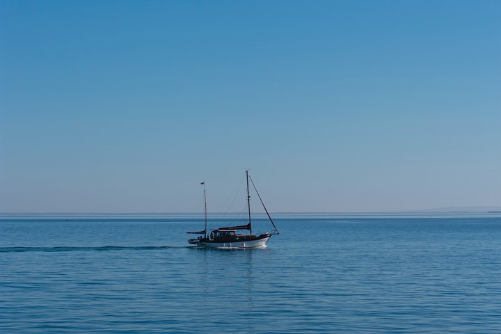 Arrabida/Setubal/Azeitão/ Freeport - Private Tour - Wine Tasting Included (8h) - Image 5