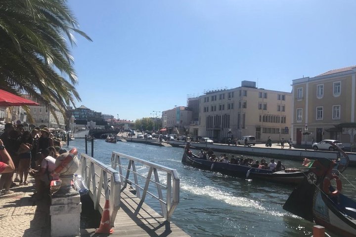 Aveiro and Coimbra - Private Tour - Image 4