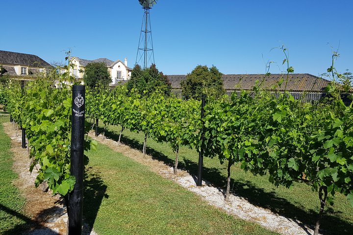 Azeitão and Alentejo Wine and food Tour - Image 3
