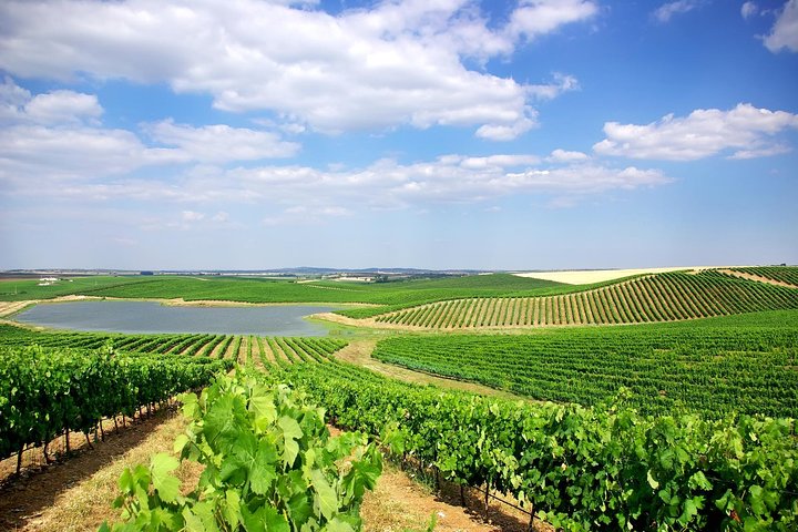 Azeitão and Alentejo Wine and food Tour - Image 2