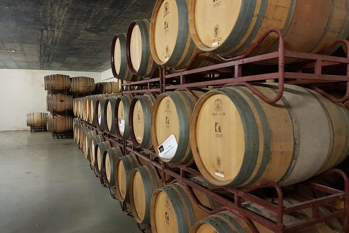 Azeitão and Alentejo Wine and food Tour - Image 5