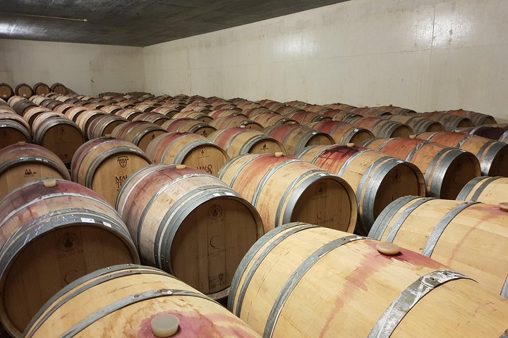 Azeitão and Alentejo Wine and food Tour - Image 4