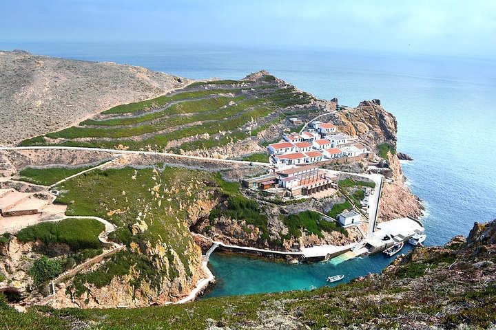 Berlenga Grande Island Private Tour from Lisbon - Image 2