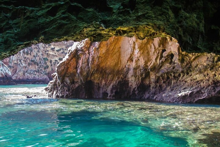 Berlenga Grande Island Private Tour from Lisbon - Image 3