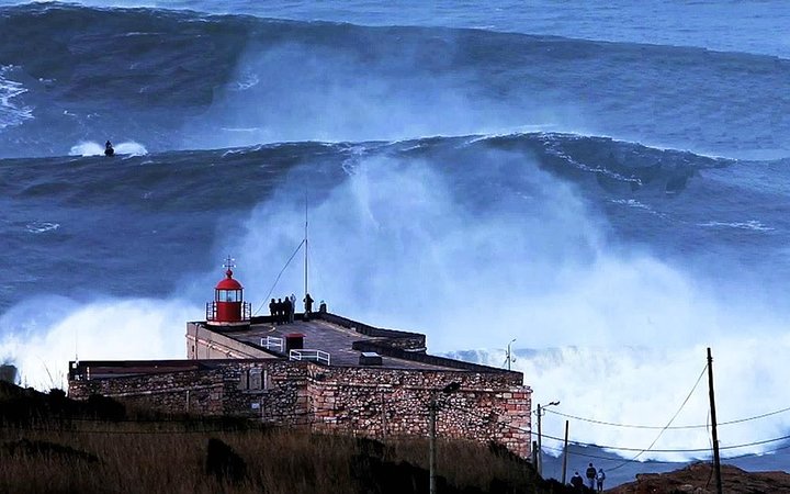 Berlengas Tour - Image 2