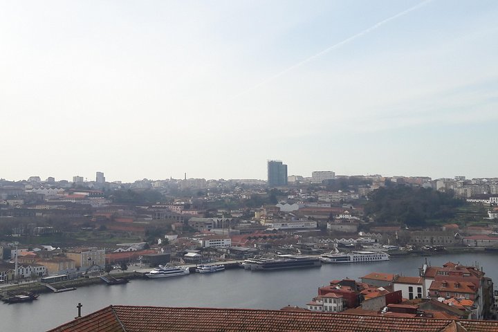  Discover Porto on a private tour departing from Lisbon - Image 4