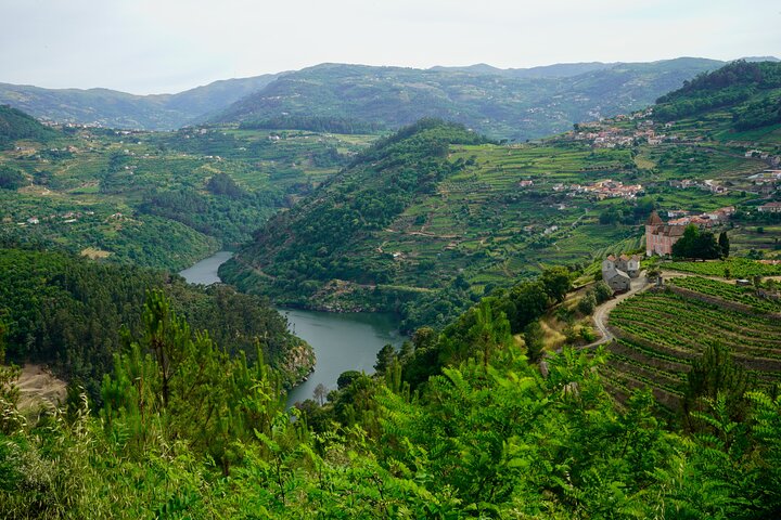 Douro Valley from Lisbon full-day private tour - Image 2