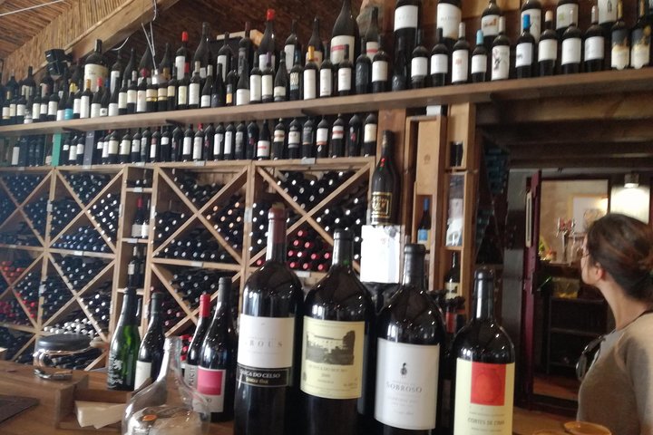 Evidence of Wine and Olive Oil in Alentejo - Image 4
