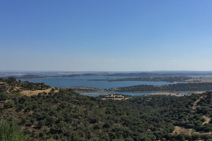 Evora and Monsaraz Private Tours from Lisbon - Image 5