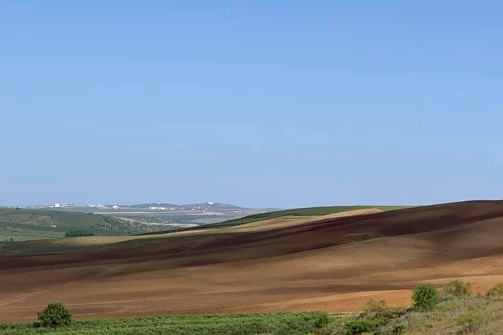 Evora & Arraiolos Alentejo Tour - Image 2