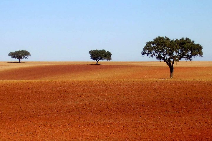 Évora Tour - The heart of Alentejo region - Image 2
