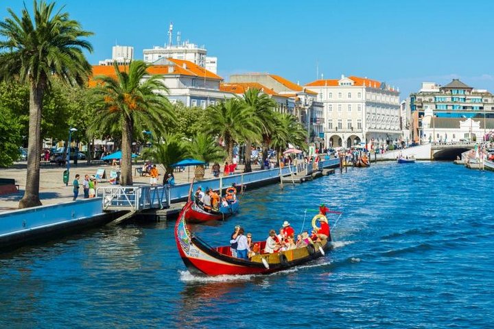 Explore Porto & Aveiro within Riverboat Cruises - Private Full Day Tour from Lisbon with Lunch - Image 2