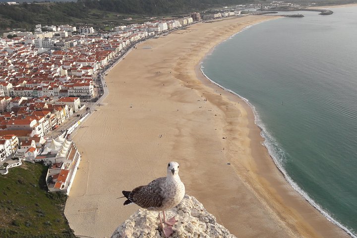 Fátima, Batalha, Nazaré and Óbidos day Tour - Image 1