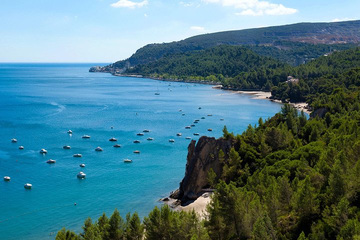 From Lisbon: Cristo Rei, Arrabida & Setubal Full-Day Private Tour - Image 1
