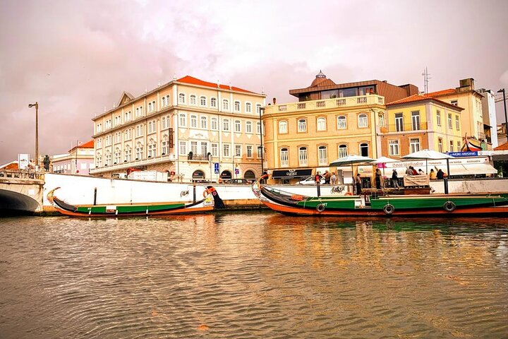 From Lisbon - Private Tour to Aveiro and Ilhavo with Drop-off in Porto - Image 1