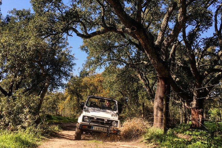From Lisbon:Arrabida Private Jeep Tour 4X4 to the most beautiful beach of Europe - Image 4