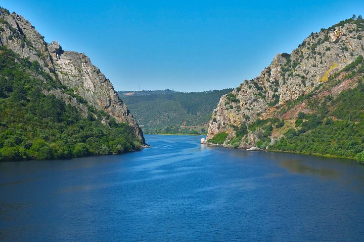 Full-Day Bird Watching Private Tour from Lisbon with Lunch - Image 1