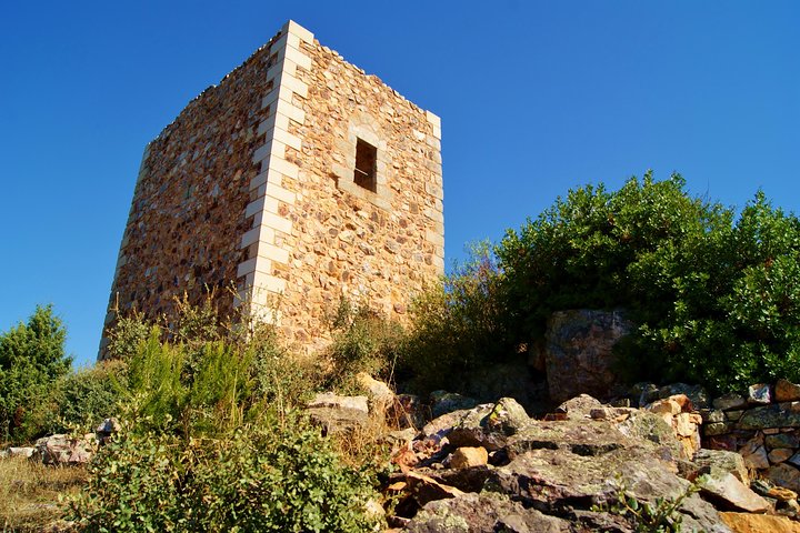 Full-Day Bird Watching Private Tour from Lisbon with Lunch - Image 3