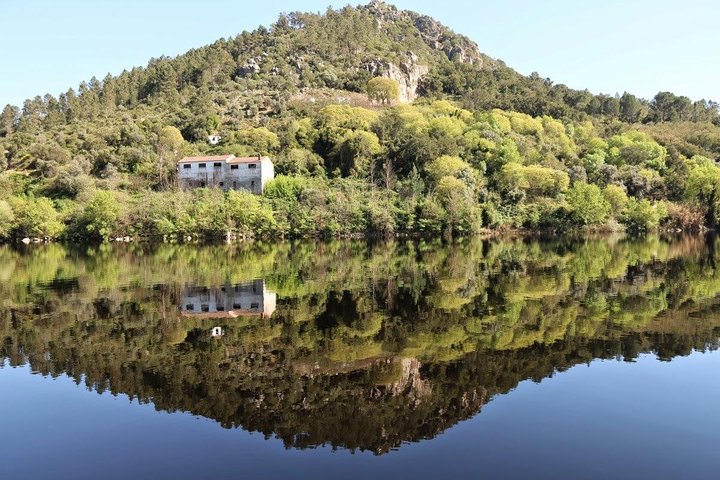 Full-Day Bird Watching Private Tour from Lisbon with Lunch - Image 2