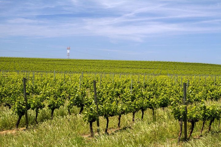 Full Day Private Tour - Evora World Heritage Sites - Image 5