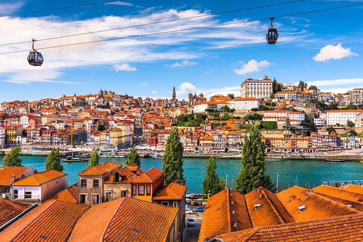 Full-Day Private Tour in Porto from Lisbon - Image 2